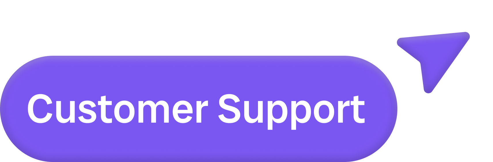 Customer Support